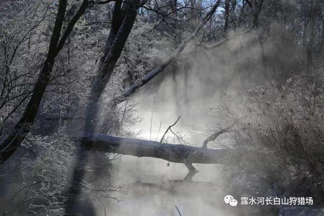 阳逻街:人大代表寒冬送温馨温暖老人心